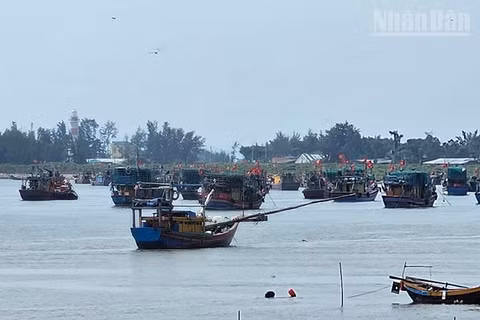 Tàu thuyền di chuyển về cảng cá chỉ định bên lạch Ghép. (Ảnh: Mai Luận)