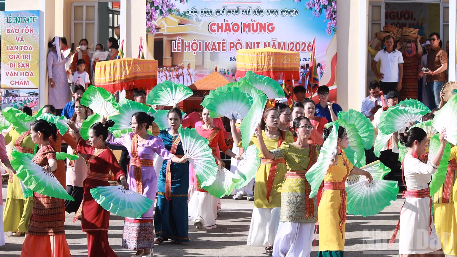 ndo_br_2aobor4tqnozgtezkg39nqzbt55ertxdolpuh7fu-4432.jpg