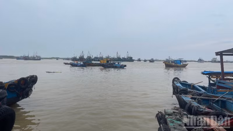 ndo_br_img-6772.jpg