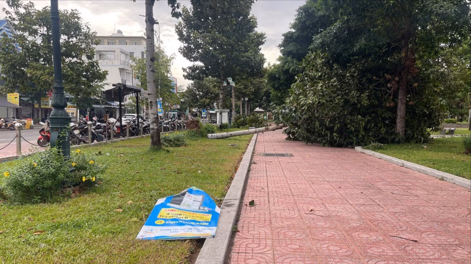 Cây xanh trong công viên Võ Văn Kiệt (phường Phú Thuỷ) bật gốc.