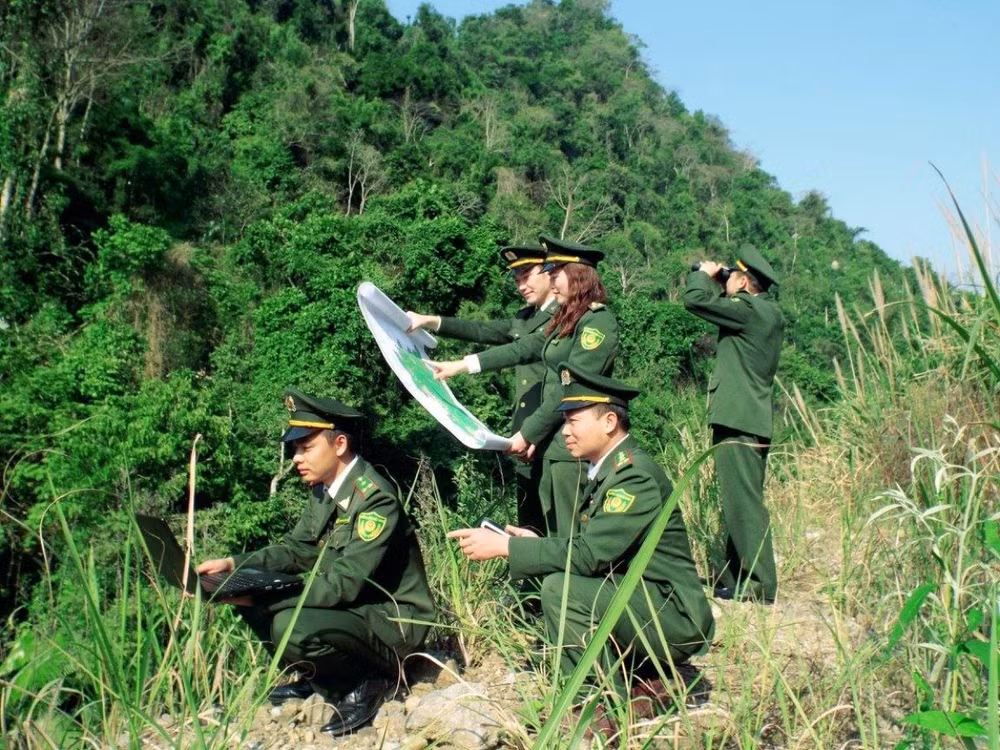 Cán bộ ngành lâm nghiệp và kiểm lâm ứng dụng chuyển đổi số trong quản lý, bảo vệ rừng.