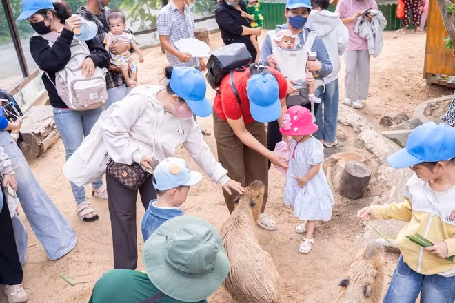 Bệnh nhi và người thân được trải nghiệm tại Thảo cầm viên Sài Gòn.