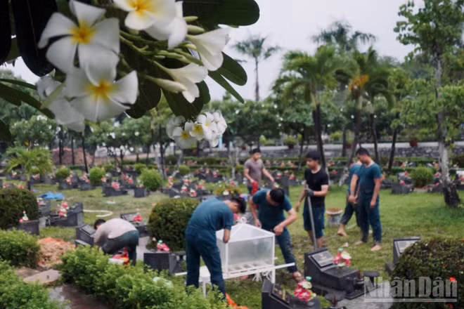 Công tác lấy mẫu giám định ADN hài cốt liệt sĩ chưa xác định thông tin tại Nghĩa trang Liệt sĩ Thành phố Hồ Chí Minh. (Ảnh: LÊ THÀNH)