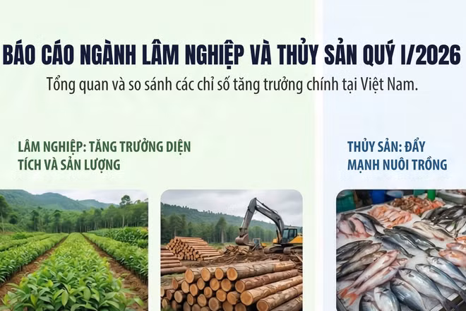 [Infographic] Quý I/2026: Sản xuất lâm nghiệp và thủy sản duy trì đà tăng trưởng tích cực