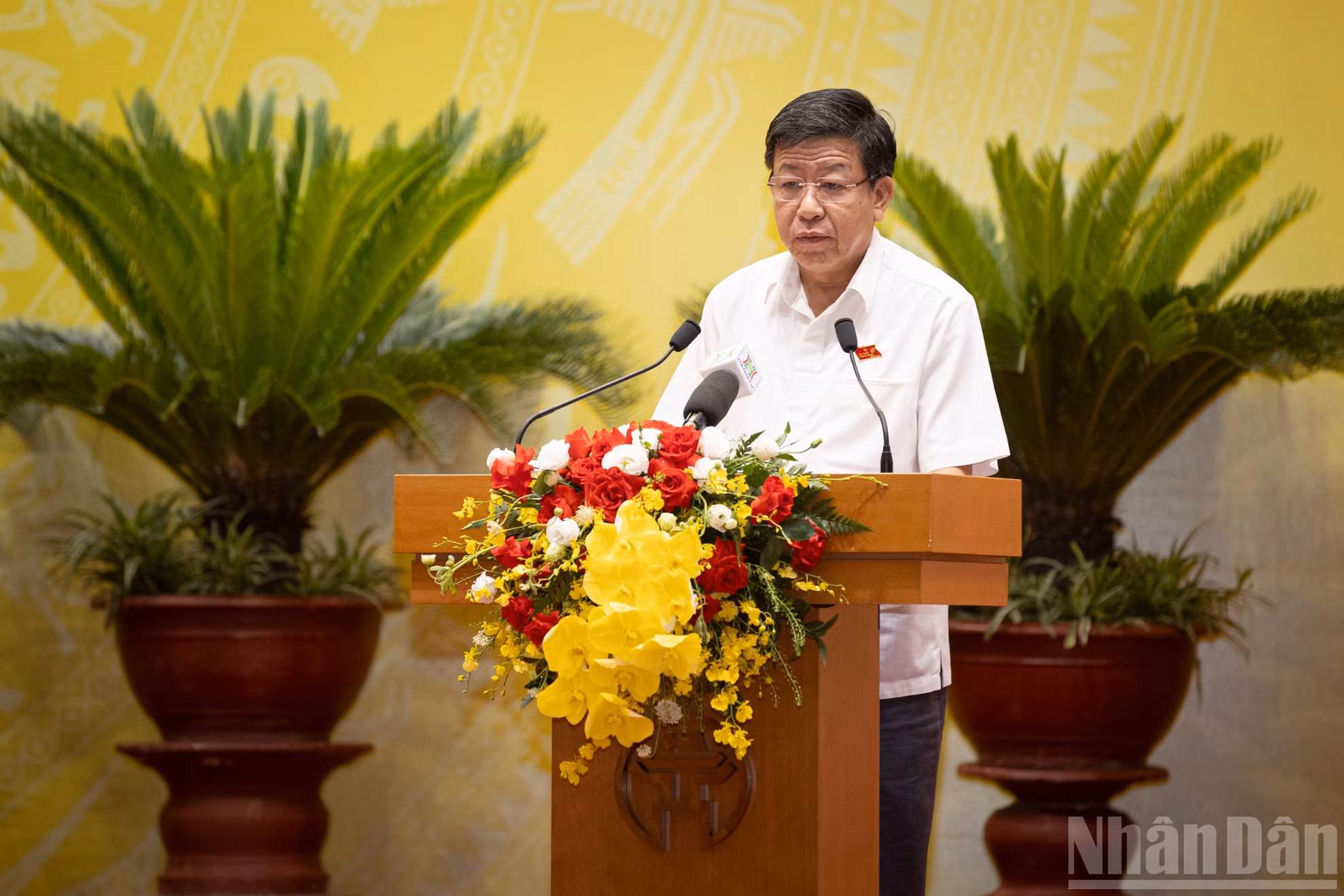 ndo_br_stnd9507.jpg