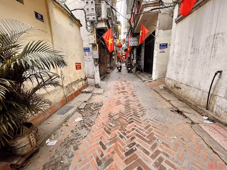 image-12.jpg