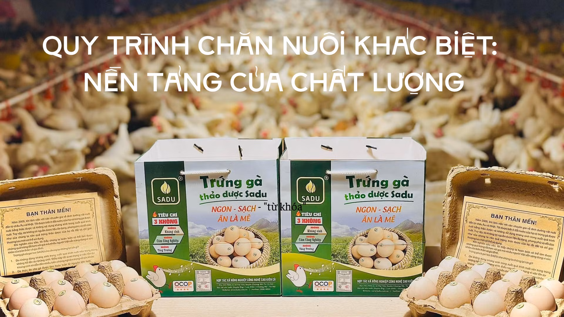 anh-bia-1.png