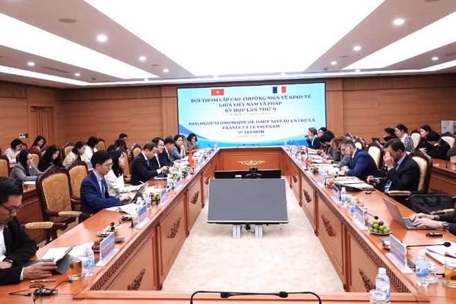 Tăng cường hợp tác thực chất trên nhiều mặt giữa Việt Nam và Cộng hòa Pháp. 