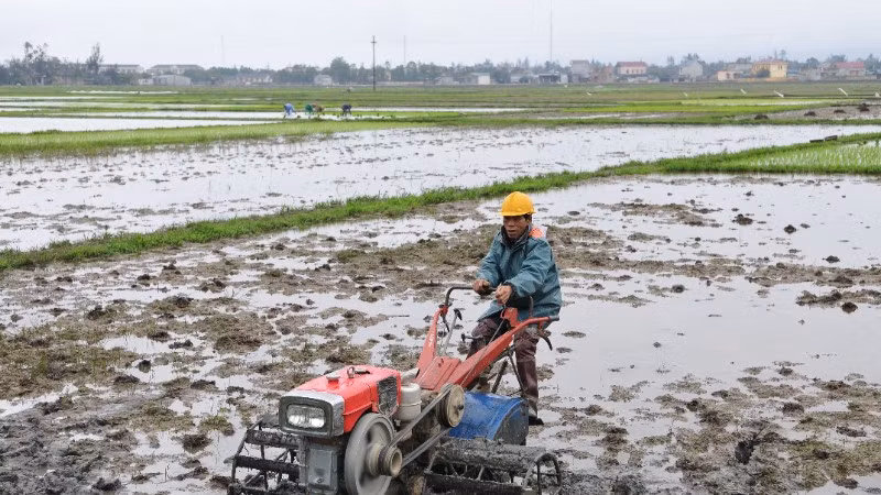 Nông dân ở xã Lộc Hà, tỉnh Hà Tĩnh làm đất gieo cấy lúa vụ hè thu-mùa. (Ảnh: Đăng Khoa)