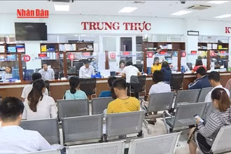[Video] Cắt giảm, đơn giản hóa thủ tục về sản xuất, kinh doanh trong 16 lĩnh vực