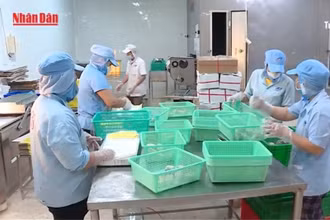 [Video] Năm 2025, xuất khẩu thủy sản của Việt Nam có thể đạt 9,2 tỷ USD