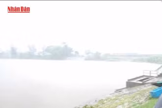 [Video] Chủ động ứng phó gió mạnh, sóng lớn và mưa dông trên biển