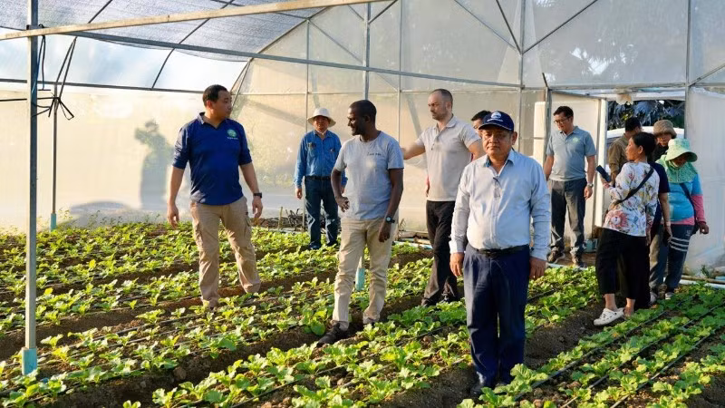 Đoàn công tác đánh giá dự án trồng rau sạch của một nông hộ ở Campuchia. (Ảnh: Fresh News) 