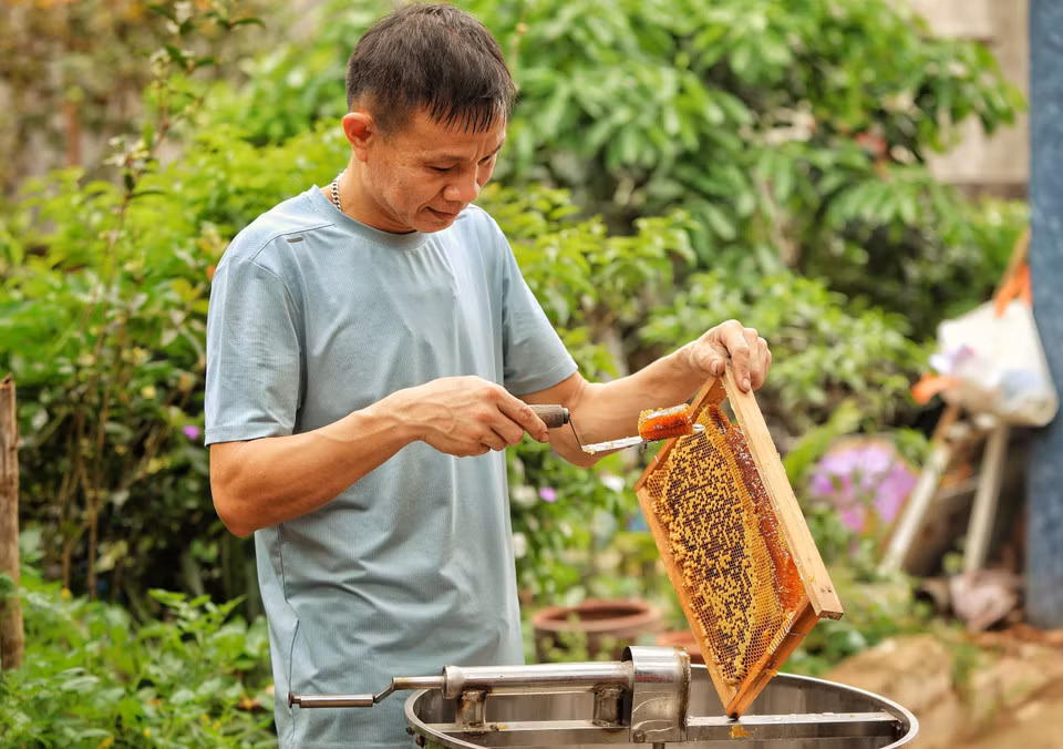 Thu hoạch mật ong tại Hợp tác xã Nuôi ong Phồn Nhị, xã Phúc Hòa.