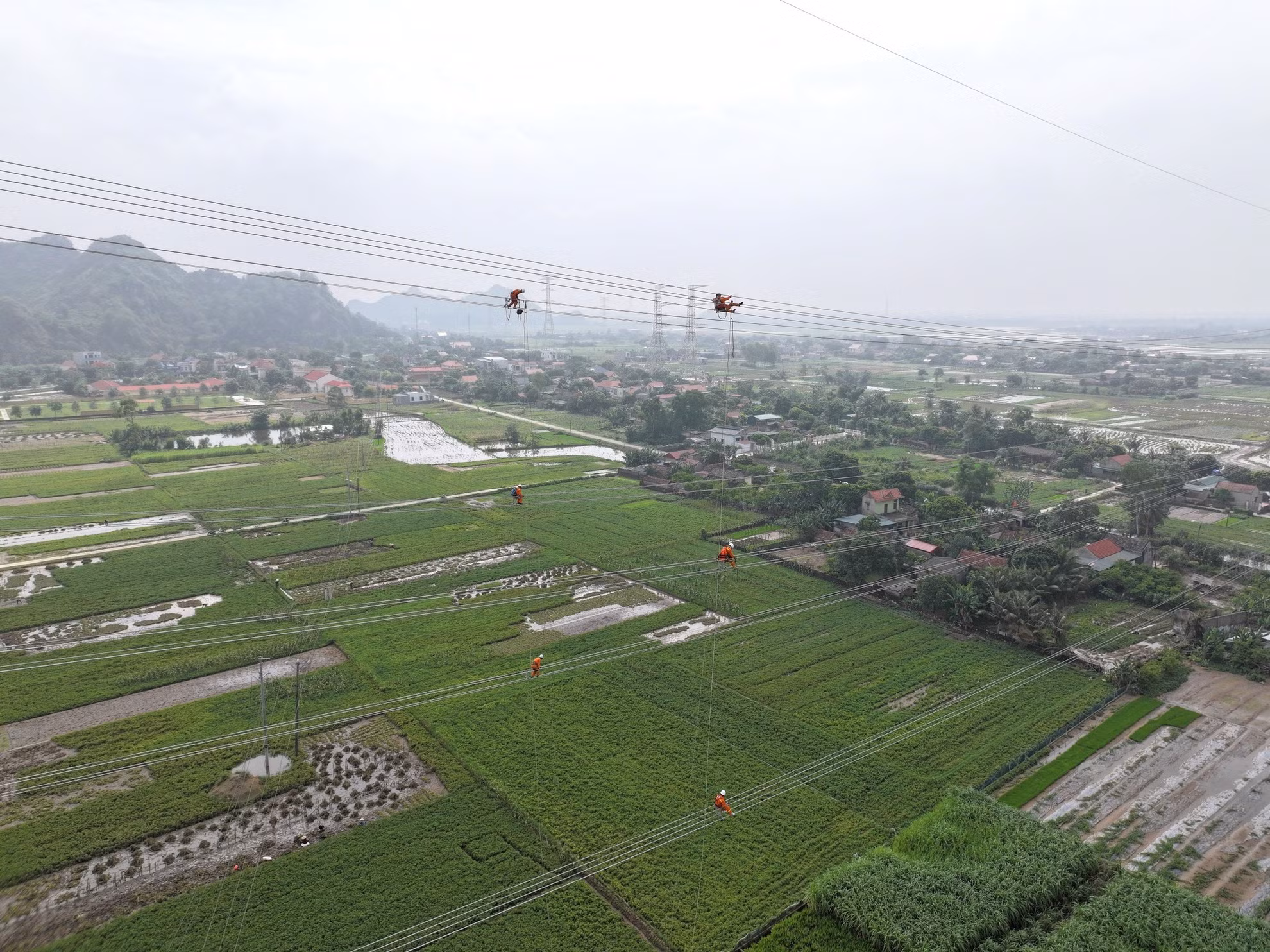 Các công nhân kỹ thuật cheo leo trên độ cao hàng chục mét.