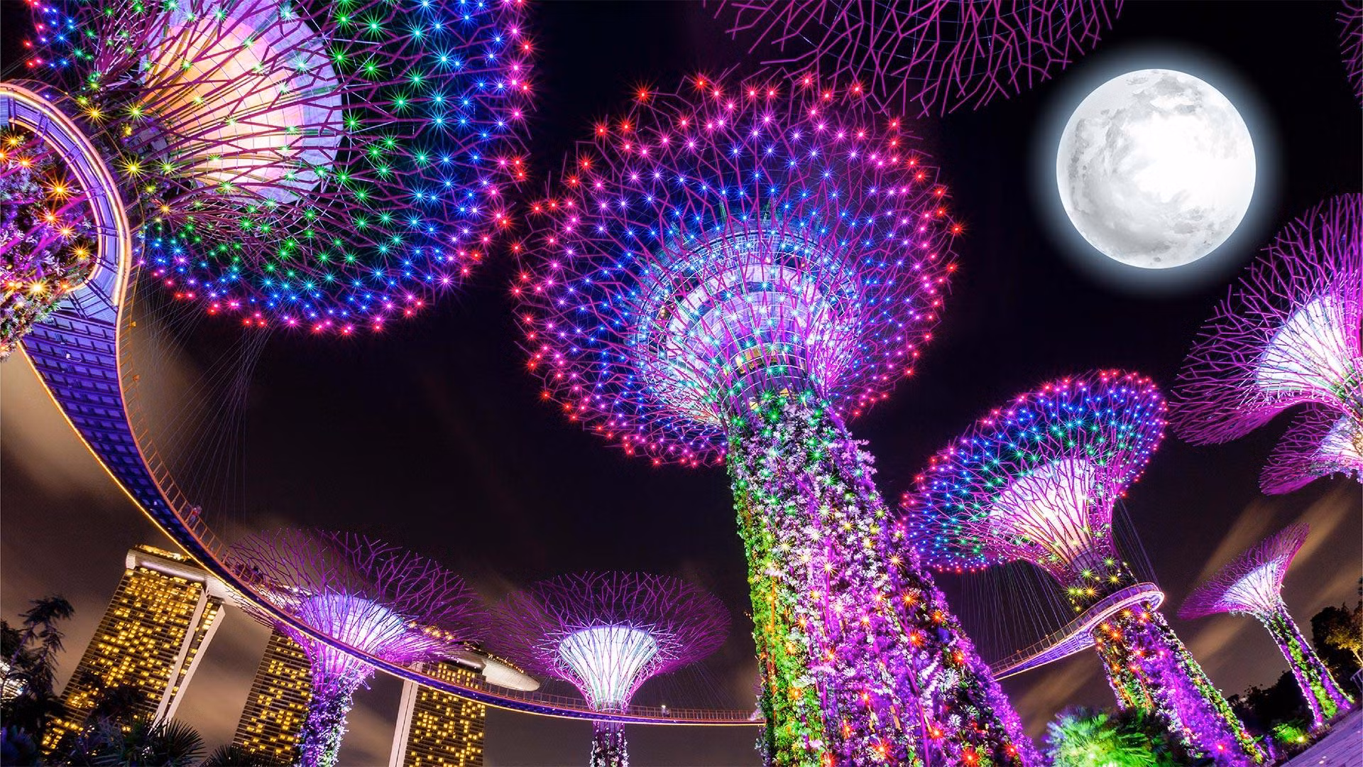 Trình diễn ánh sáng hiện đại trong dịp Trung thu 2022 tại Singapore. (Ảnh: Gardens by the Bay)