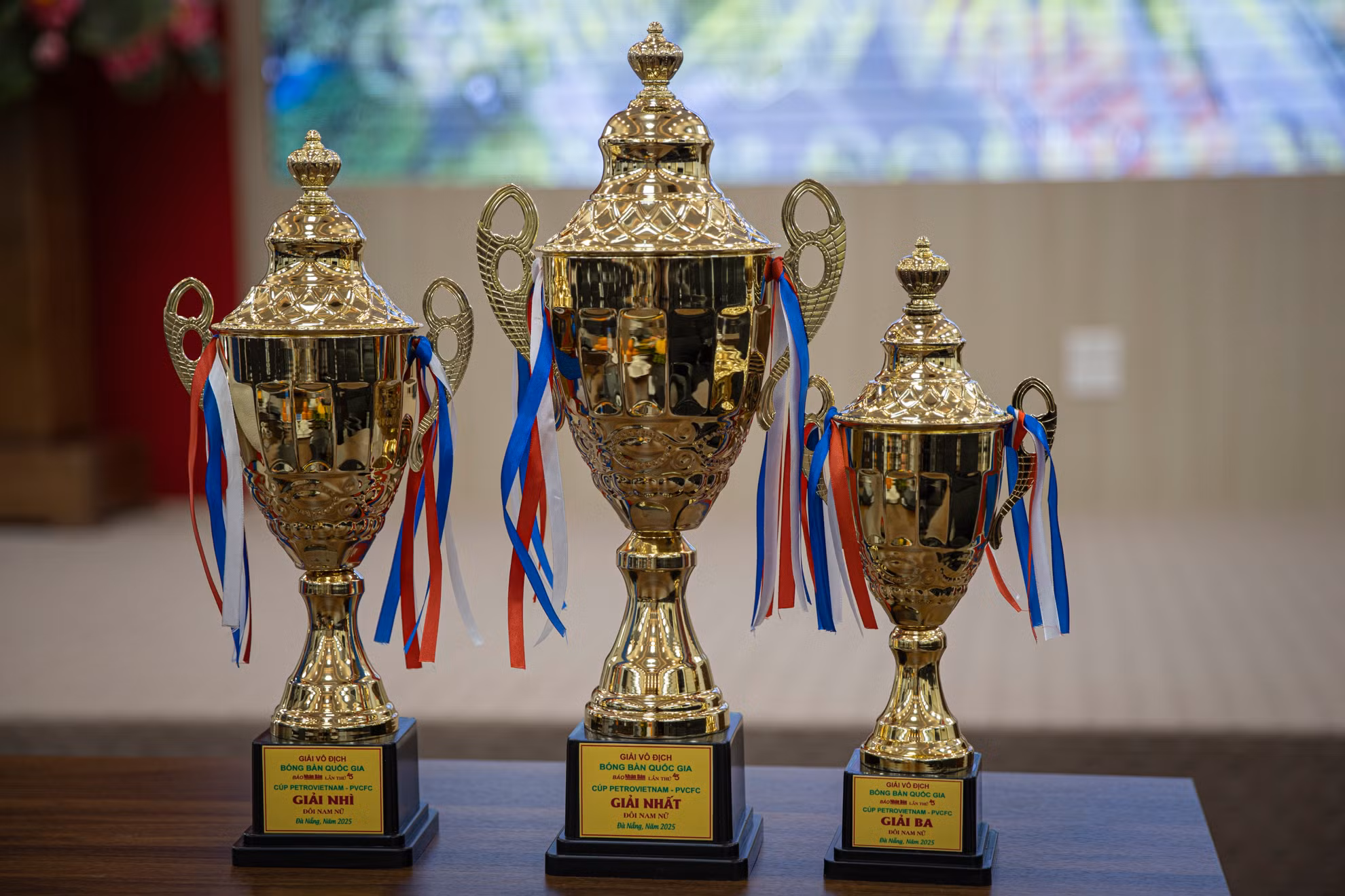 Những chiếc cúp dành cho giải Nhất, Nhì, Ba.