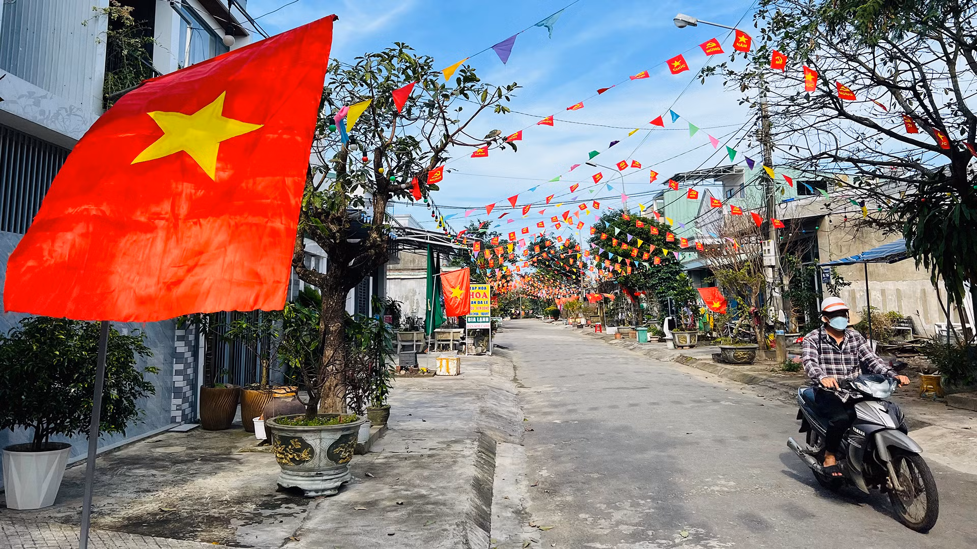 Tuyến đường Lê Trí Viễn (phường Hòa Hương) rực rỡ cờ hoa để chào đón năm mới.