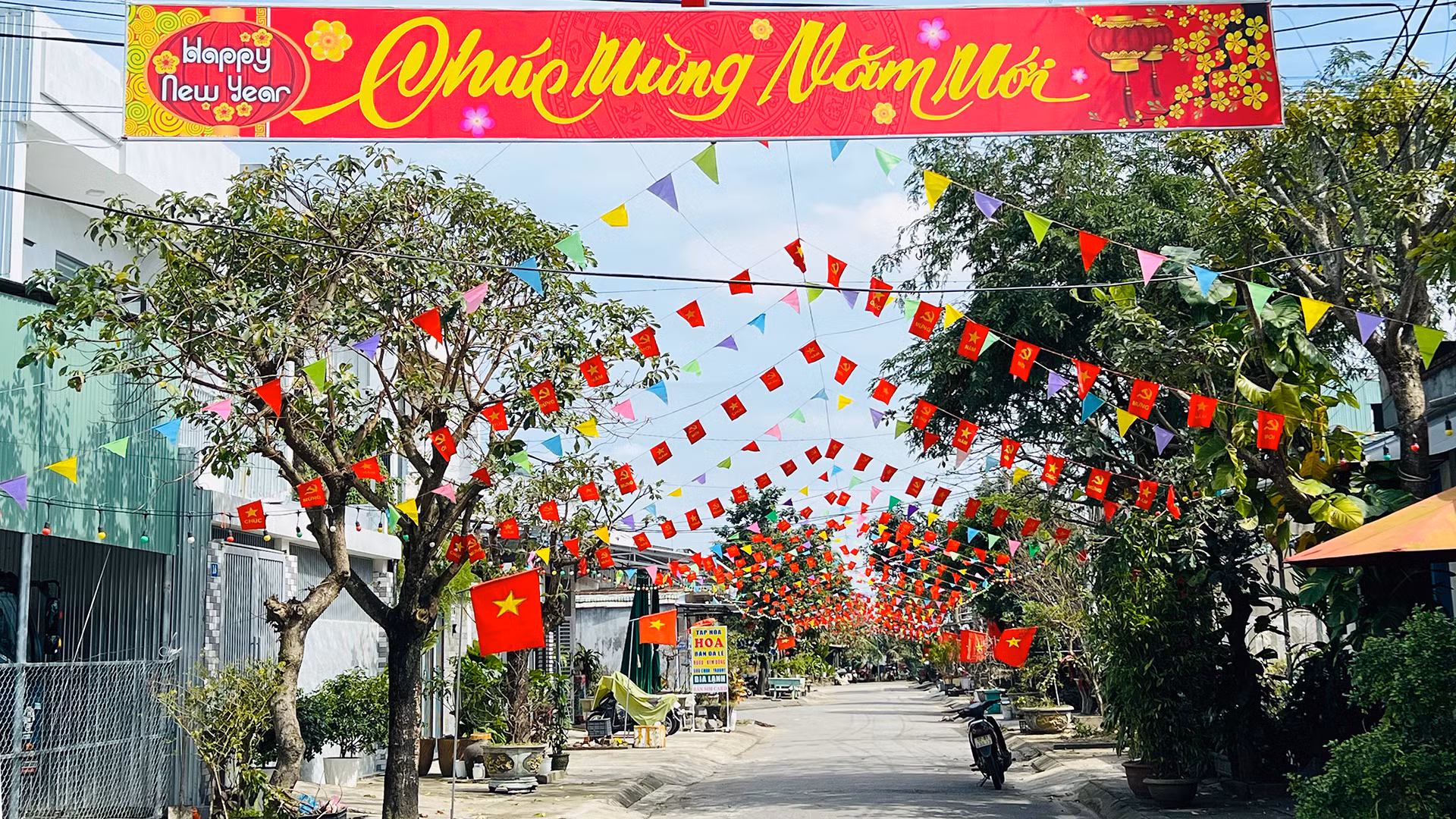 Tuyến đường Lê Trí Viễn (phường Hòa Hương) rực rỡ cờ hoa đón Tết.