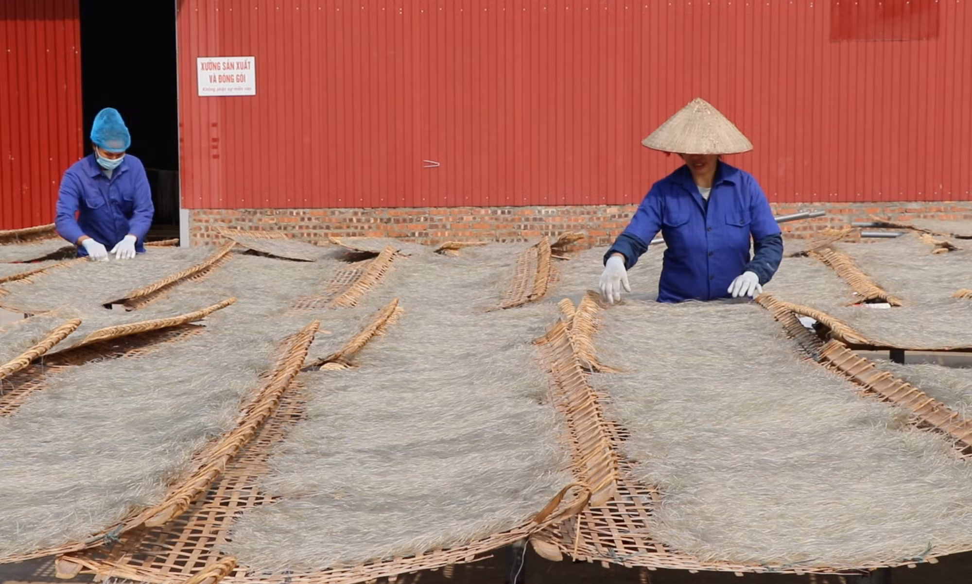 Các sản phẩm miến dong của các Hợp tác xã gắn với thế mạnh của từng địa phương. (Ảnh: TUẤN SƠN) Các sản phẩm miến dong của các Hợp tác xã gắn với thế mạnh của từng địa phương. (Ảnh: TUẤN SƠN)