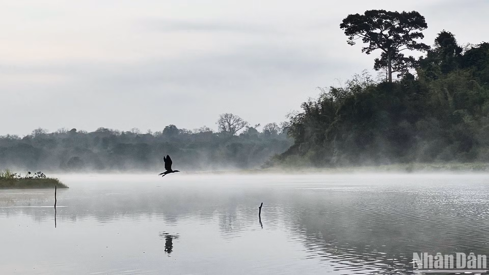 Bàu Sấu buổi sớm mai còn là bản hoà âm tuyệt hảo của nhiều loài chim, thú sống trong rừng và các đảo nhỏ giữa hồ. Bàu Sấu buổi sớm mai còn là bản hoà âm tuyệt hảo của nhiều loài chim, thú sống trong rừng và các đảo nhỏ giữa hồ.