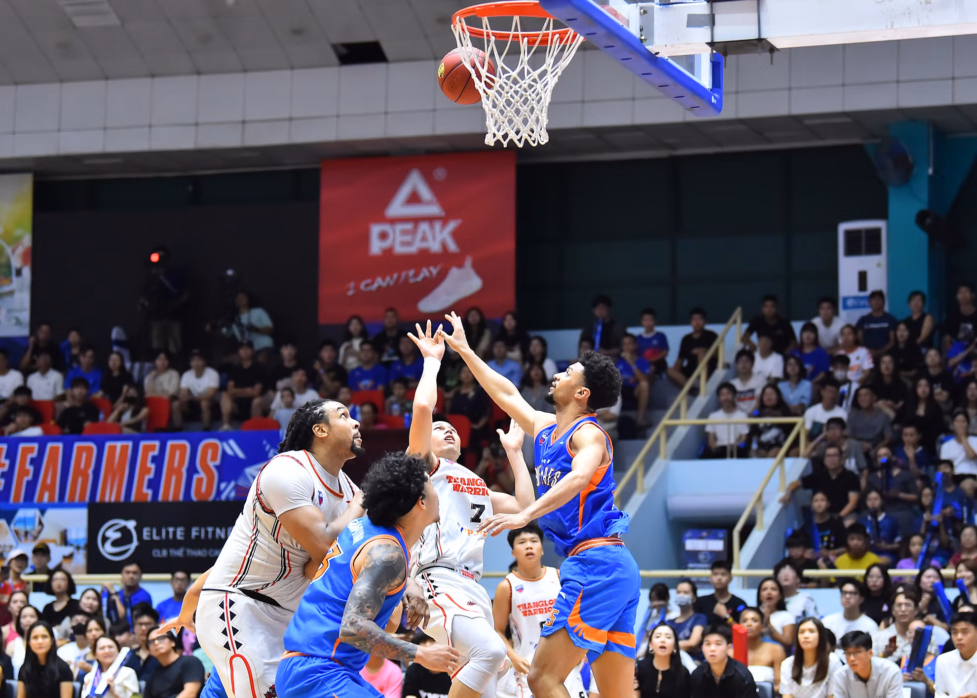 Không có Anthony January, khu vực dưới bảng rổ của Hanoi Buffaloes bị đối thủ khai thác triệt để. Thang Long Warriors không tung ra các cú ném xa như thường lệ mà liên tục chuyền bóng vào cho các cầu thủ có lợi thế về thể hình như John Fields, Justin Young, Đặng Thái Hưng,… ghi điểm ở những tình huống sát bảng rổ. Không có Anthony January, khu vực dưới bảng rổ của Hanoi Buffaloes bị đối thủ khai thác triệt để. Thang Long Warriors không tung ra các cú ném xa như thường lệ mà liên tục chuyền bóng vào cho các cầu thủ có lợi thế về thể hình như John Fields, Justin Young, Đặng Thái Hưng,… ghi điểm ở những tình huống sát bảng rổ.