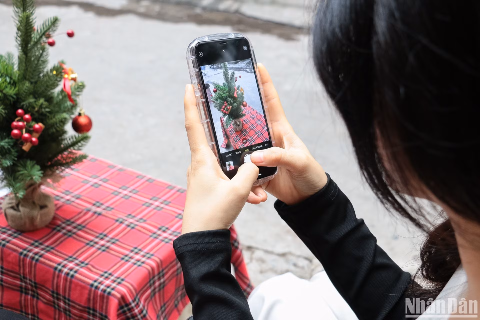 Không ít bạn trẻ thích thú chụp hình cùng cây thông Noel nhỏ nhắn.