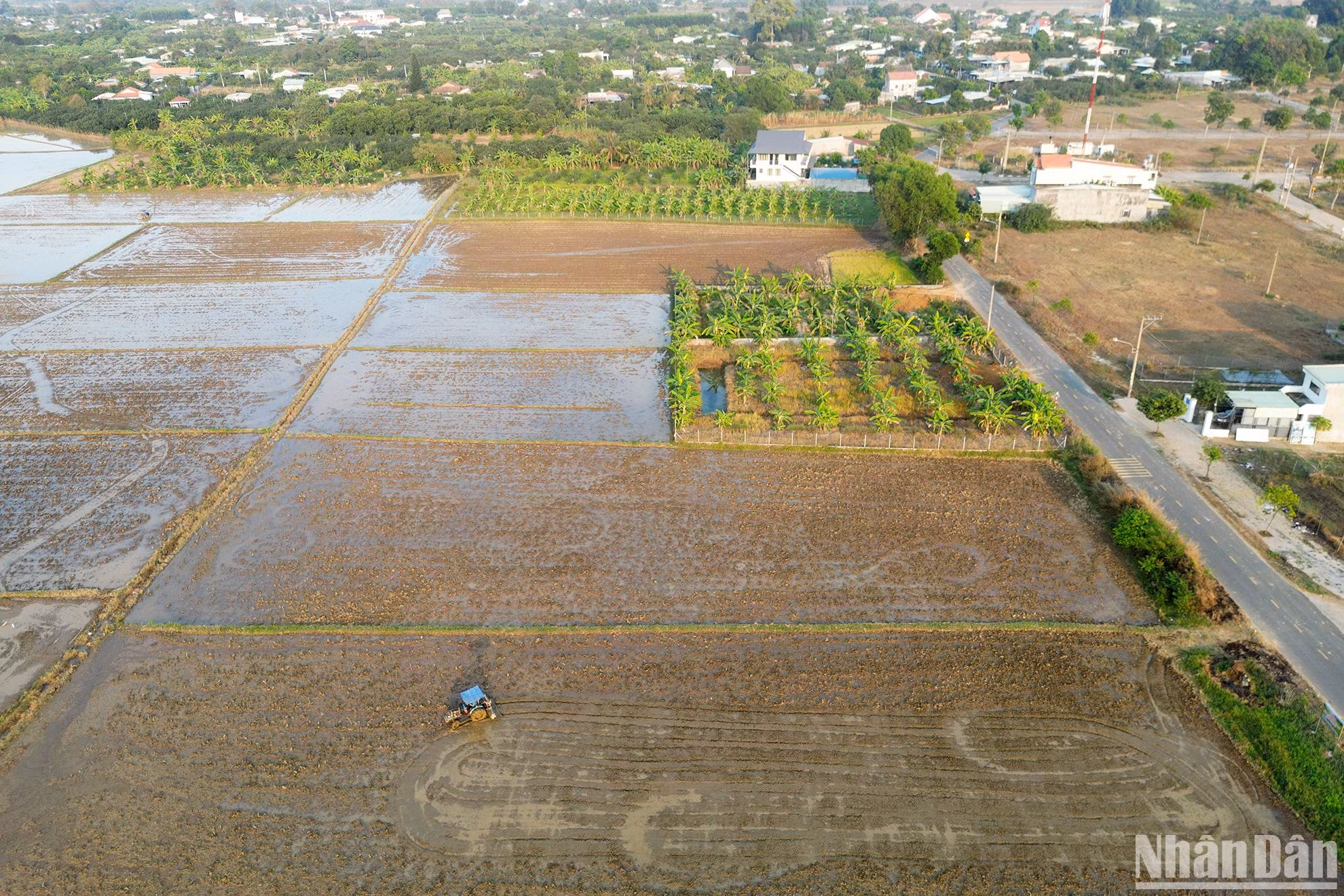Làng thông minh Bạch Đằng khi hoàn thiện là nơi tập trung nhiều sáng kiến liên quan công nghệ, nông nghiệp thông minh, cơ giới hóa trong sản xuất, nâng cao năng suất lao động cho người dân nông thôn, bảo vệ môi trường... tạo ra hệ sinh thái nông nghiệp-dịch vụ-du lịch sinh thái thân thiện với du khách và hấp dẫn với đối tác.