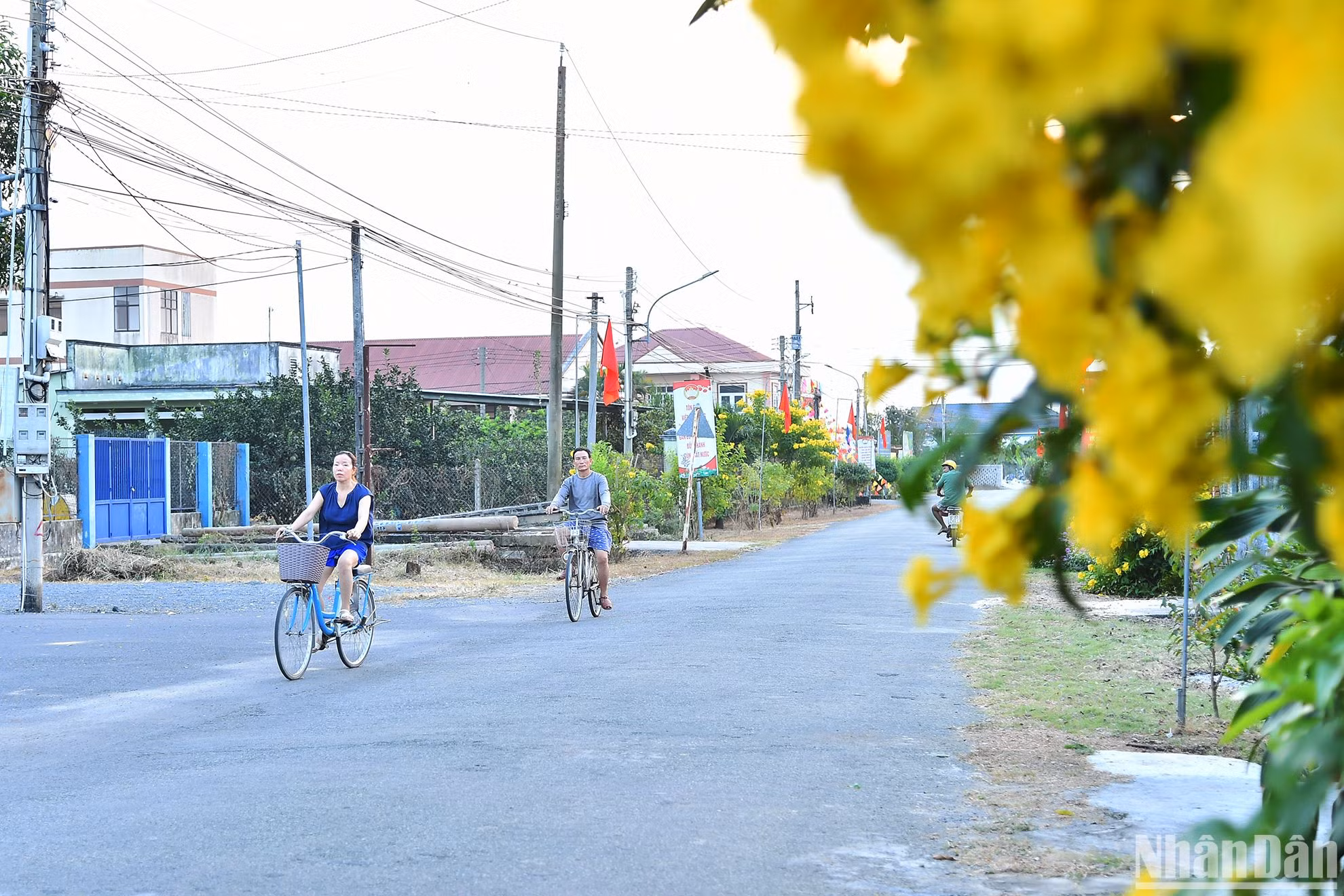 Người nông dân thông minh ở Bạch Đằng không chỉ học cách để sản xuất thông minh mà còn “thông minh” trong bảo tồn, giữ gìn “hồn làng”. Chính quyền xã và người già uy tín trong làng khi bắt đầu cùng xây dựng làng thông minh đã quyết tâm phải bước đi từ việc thay đổi nhận thức của mỗi người dân. Với ý chí và khát vọng đổi mới của những nông dân thông minh, trong tương lai, Bạch Đằng sẽ là nơi đáng sống, thân thiện với thiên nhiên môi trường, vừa là nơi phát triển nông nghiệp thông minh, phát triển du lịch sinh thái, trở thành một biểu tượng xanh cho tỉnh công nghiệp Bình Dương.