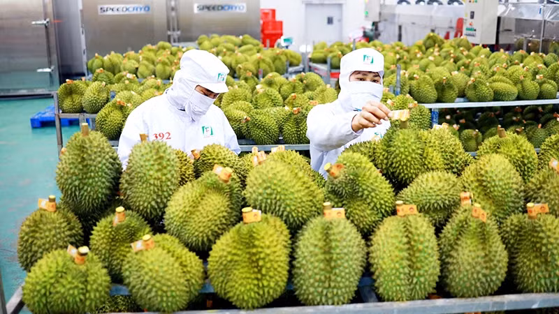 Giá trị xuất khẩu các mặt hàng nông sản đạt 8,53 tỷ USD, tăng 12,2% năm 2024.