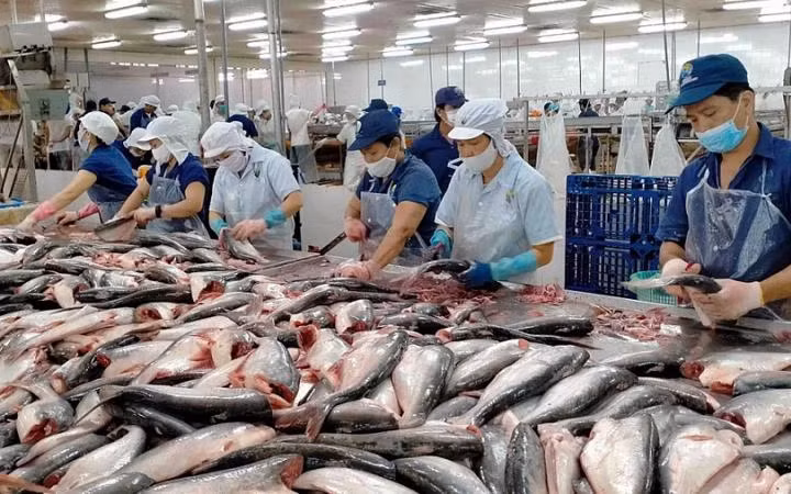 Thứ trưởng Phùng Đức Tiến nhấn mạnh: Cần ưu tiên giải quyết ngay vấn đề về MMPA đối với hải sản.