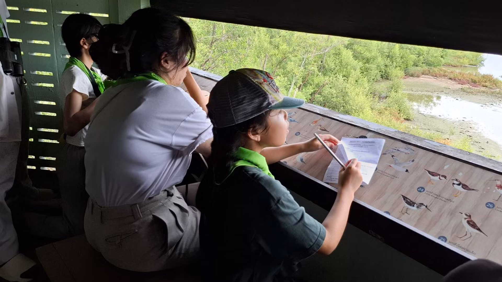 Học sinh cũng có cơ hội tìm hiểu về các loài chim địa phương và chim di cư khác nhau, quan sát những loài chim đó từ tháp chim hay đi bộ dọc các con đường trong trung tâm. Các em cũng có thể tìm hiểu về hệ sinh thái ven biển và bãi bồi, mối quan hệ của hệ sinh thái này với nguồn nước, cấu trúc sinh thái và các sinh vật trong khu vực. Ảnh: Trung tâm Giáo dục Thiên nhiên Bangpu