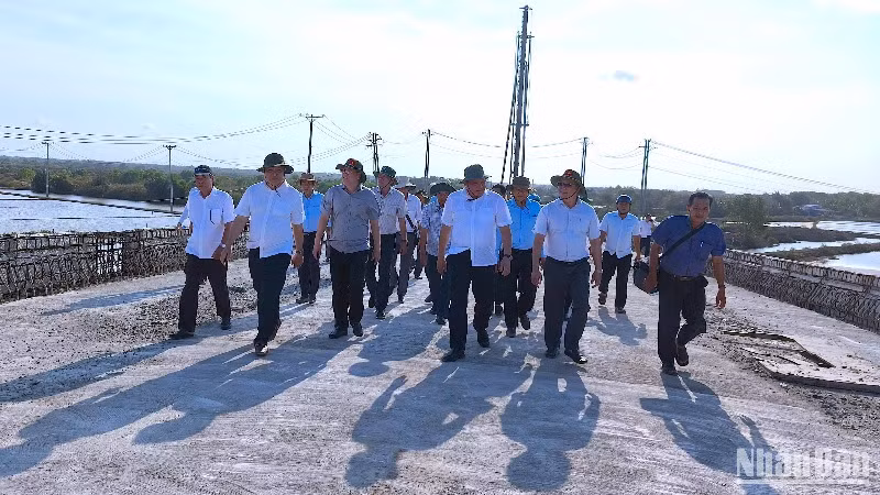 Đoàn công tác của Bí thư Tỉnh ủy và Chủ tịch Ủy ban nhân dân tỉnh Cà Mau kiểm tra tiến độ xây dựng cầu Gành Hào vào chiều 17/3. 