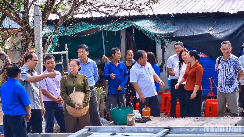 Bí thư Tỉnh ủy Cà Mau Nguyễn Hồ Hải (chỉ tay) kiểm tra tiến độ xóa nhà tạm, nhà dột nát vào sáng 26/3.