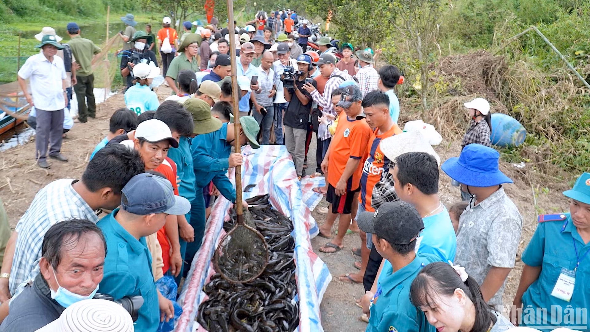 Đông đảo khách thập phương tham gia trải nghiệm hoạt động bắt cá đồng tại Vườn Quốc gia U Minh Hạ. Đông đảo khách thập phương tham gia trải nghiệm hoạt động bắt cá đồng tại Vườn Quốc gia U Minh Hạ.
