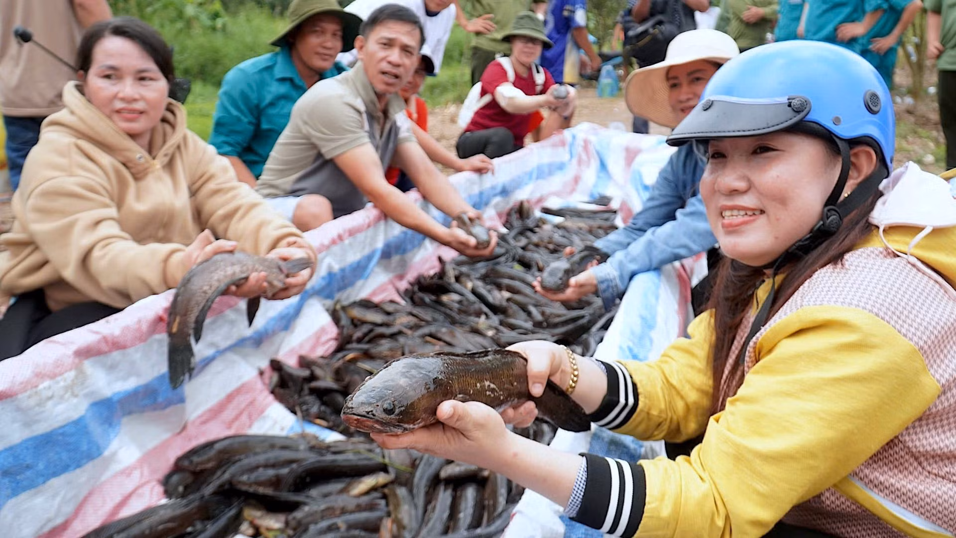 Khách tham quan thích thú khi tự tay bắt những con cá đồng tại miệt rừng U Minh Hạ. Khách tham quan thích thú khi tự tay bắt những con cá đồng tại miệt rừng U Minh Hạ.