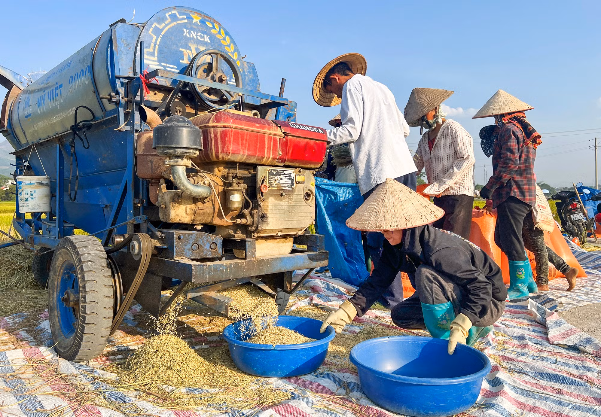 Trên cánh đồng Mường Thanh, người nông dân Điện Biên đã chủ động đưa máy móc vào sản xuất, từng bước nâng cao năng suất, chất lượng hạt gạo Mường Thanh.