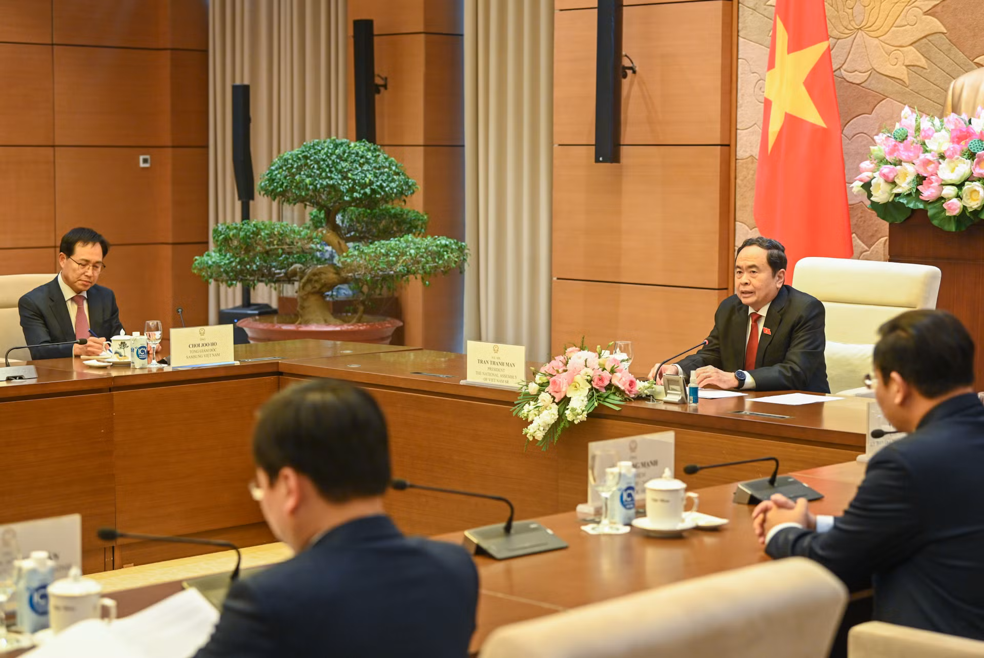 Chủ tịch Quốc hội Trần Thanh Mẫn phát biểu tại buổi tiếp.