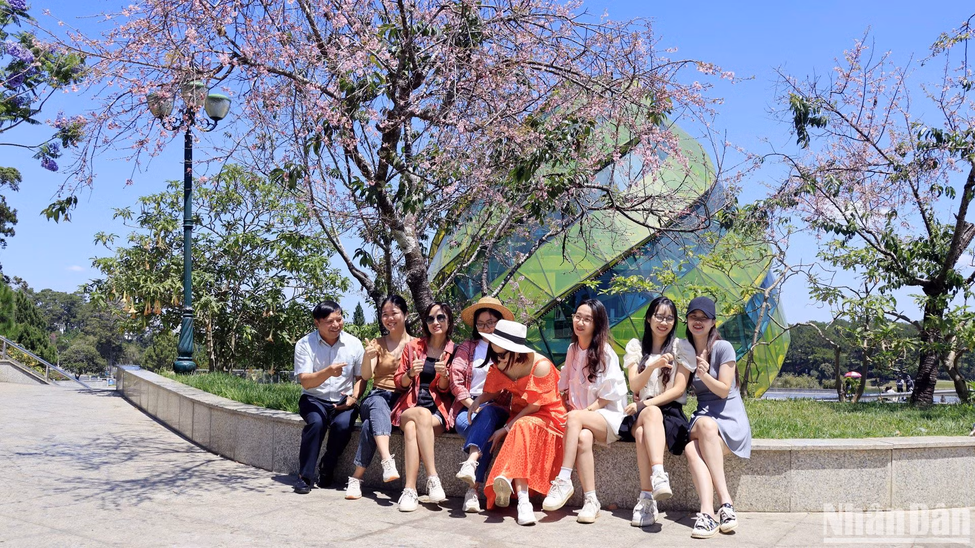 Du khách thích thú được lưu dấu kỷ niệm với sắc hoa mai anh đào trên phố núi Đà Lạt giữa mùa khô Tây Nguyên.
