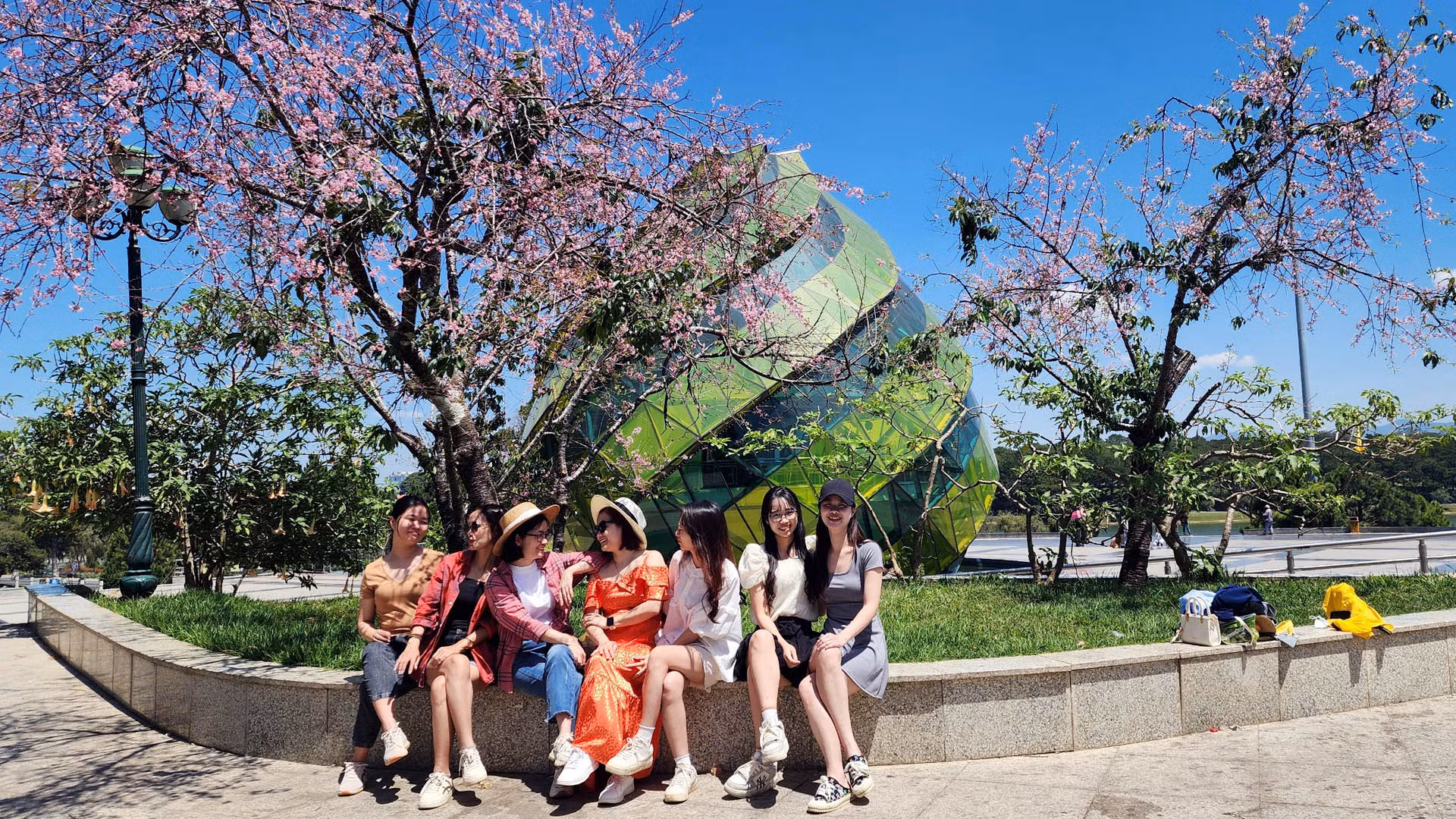 Cùng với những cư dân Đà Lạt, trên những cung đường thắm sắc hoa hồng pha tím, nhiều không gian công cộng trên thành phố cao nguyên, nhiều du khách thích thú ghi hình kỷ niệm. “Mình và nhóm bạn thường hẹn hò lên Đà Lạt mùa hoa mai anh đào dịp đầu xuân. Tháng 2 năm nay bọn mình bị lỡ hẹn với loài hoa này, không ngờ giờ có chuyến trải nghiệm thú vị”, chị Trần Lệ Hà, đến từ tỉnh Khánh Hòa, chia sẻ.