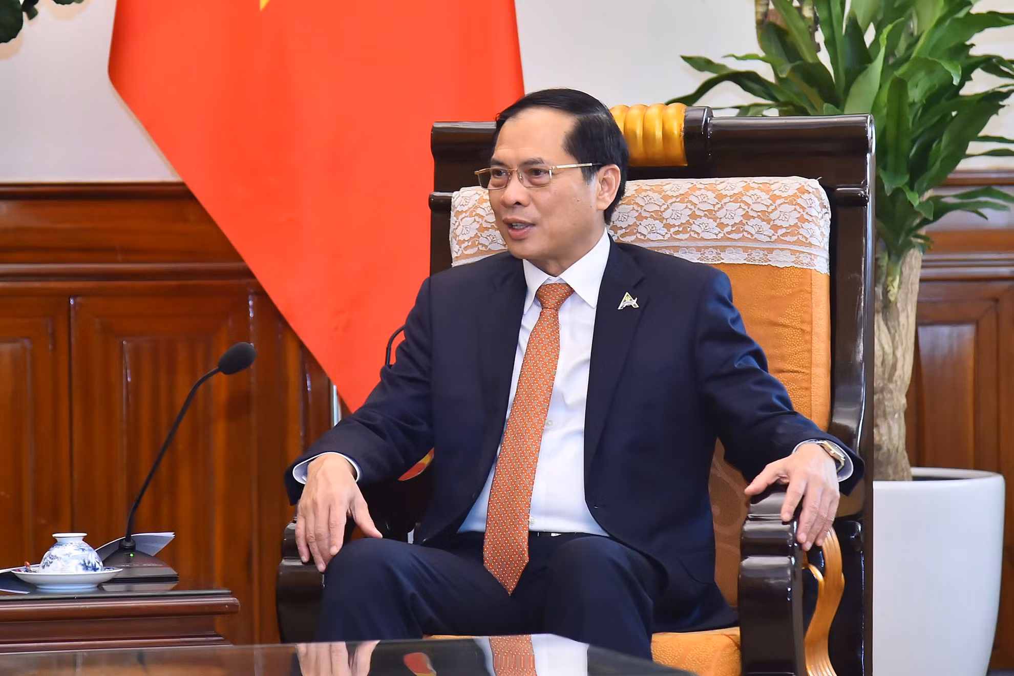 Bộ trưởng Ngoại giao Bùi Thanh Sơn phát biểu tại buổi tiếp.