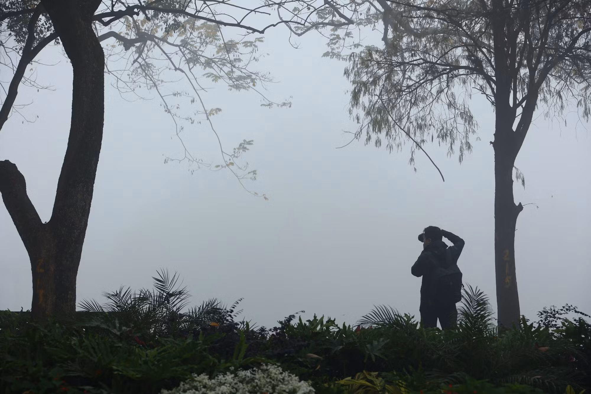 Ảnh minh họa.