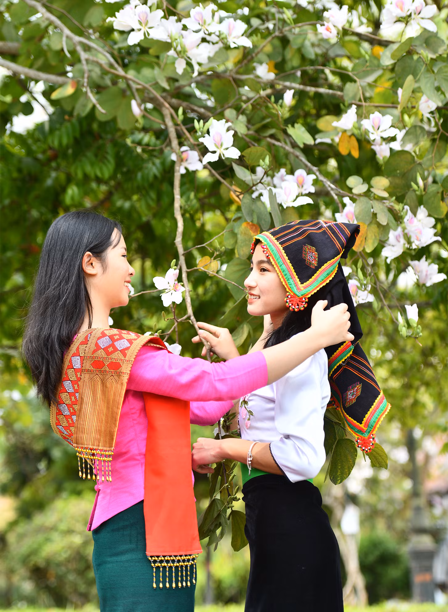 Tháng ba mùa hoa ban, cả đất trời Tây Bắc bỗng sáng bừng, rạng rỡ.