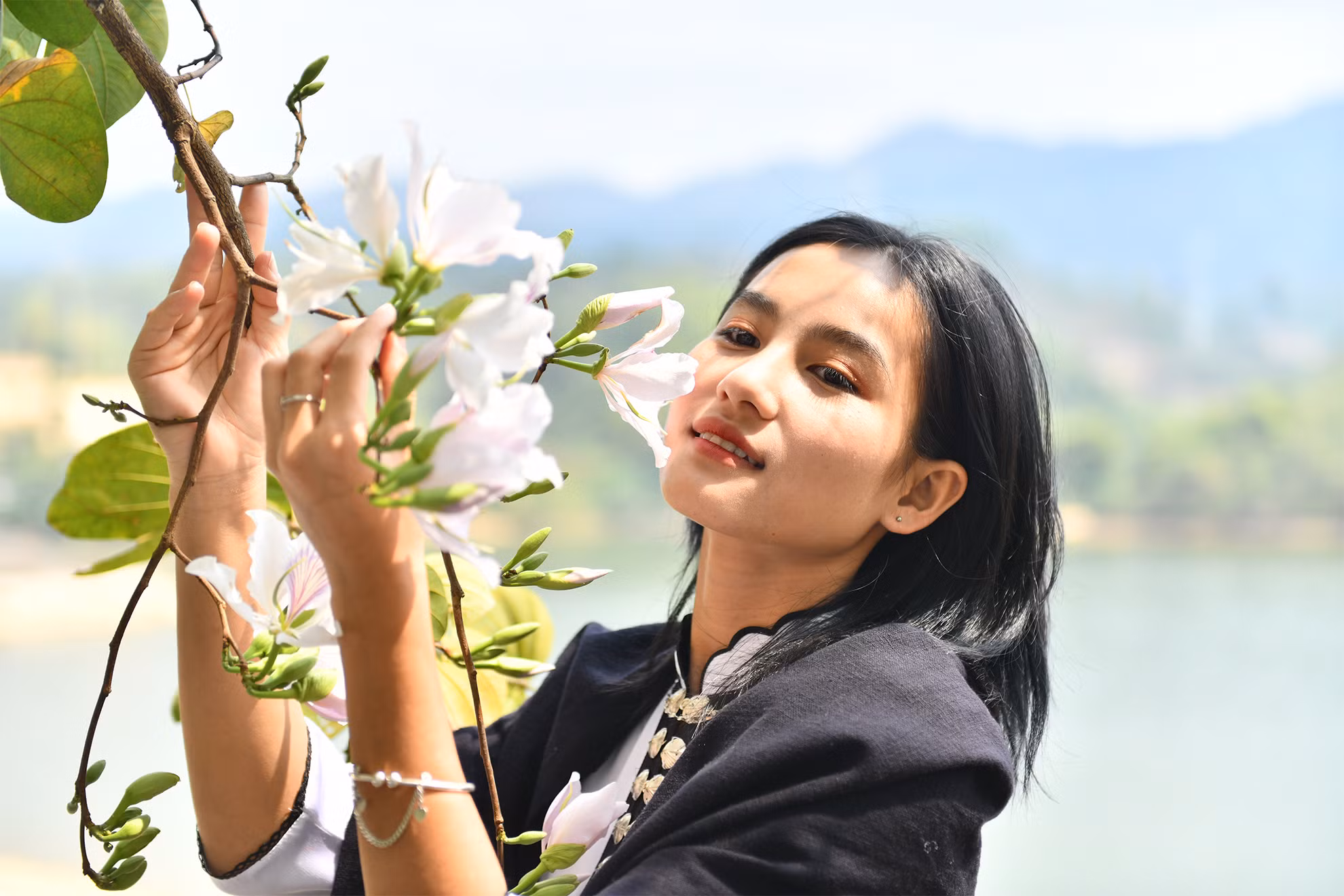 Khoe sắc cùng hoa ban.