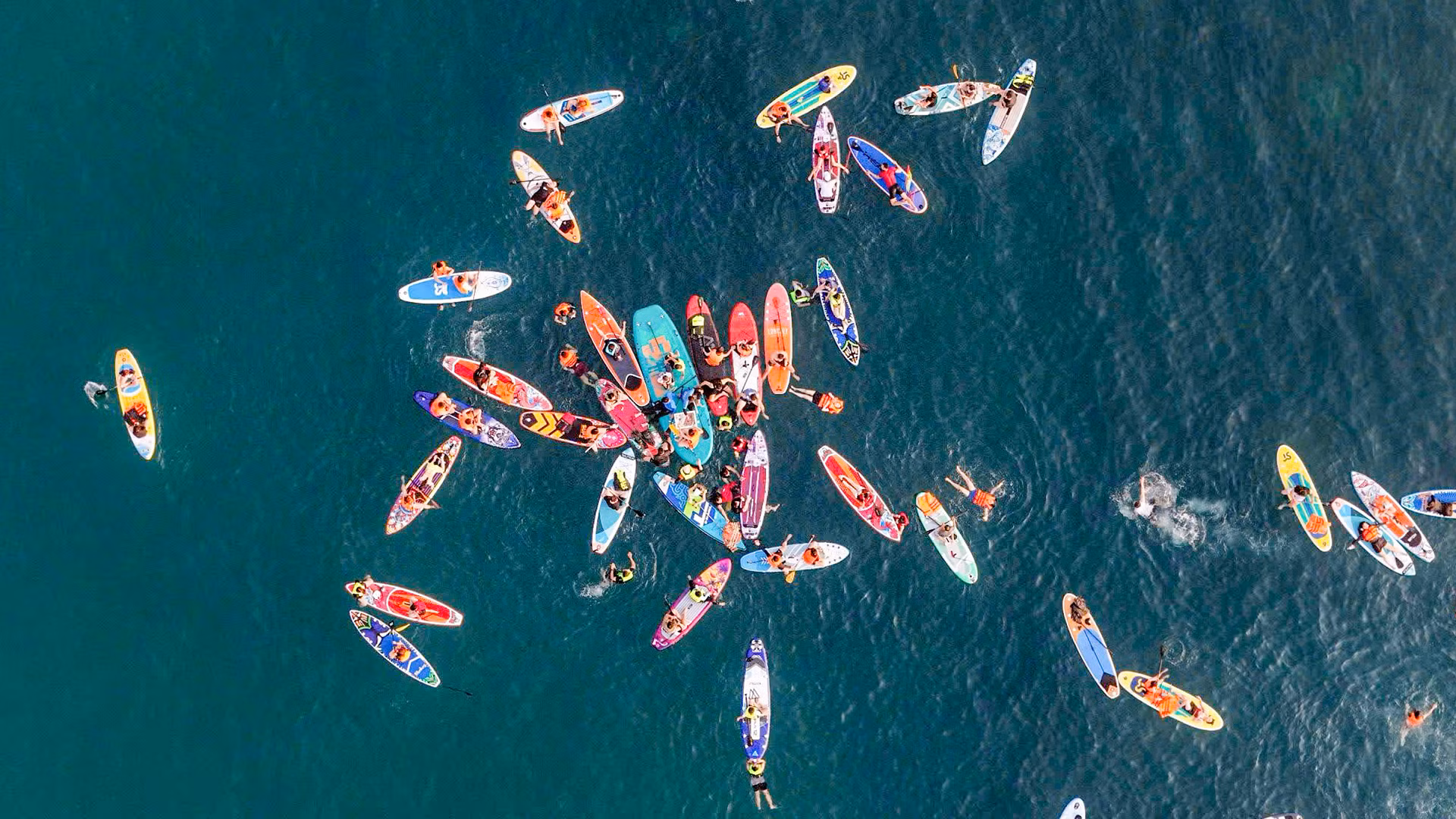 Những "cánh hoa" SUP nở bung trên mặt biển.