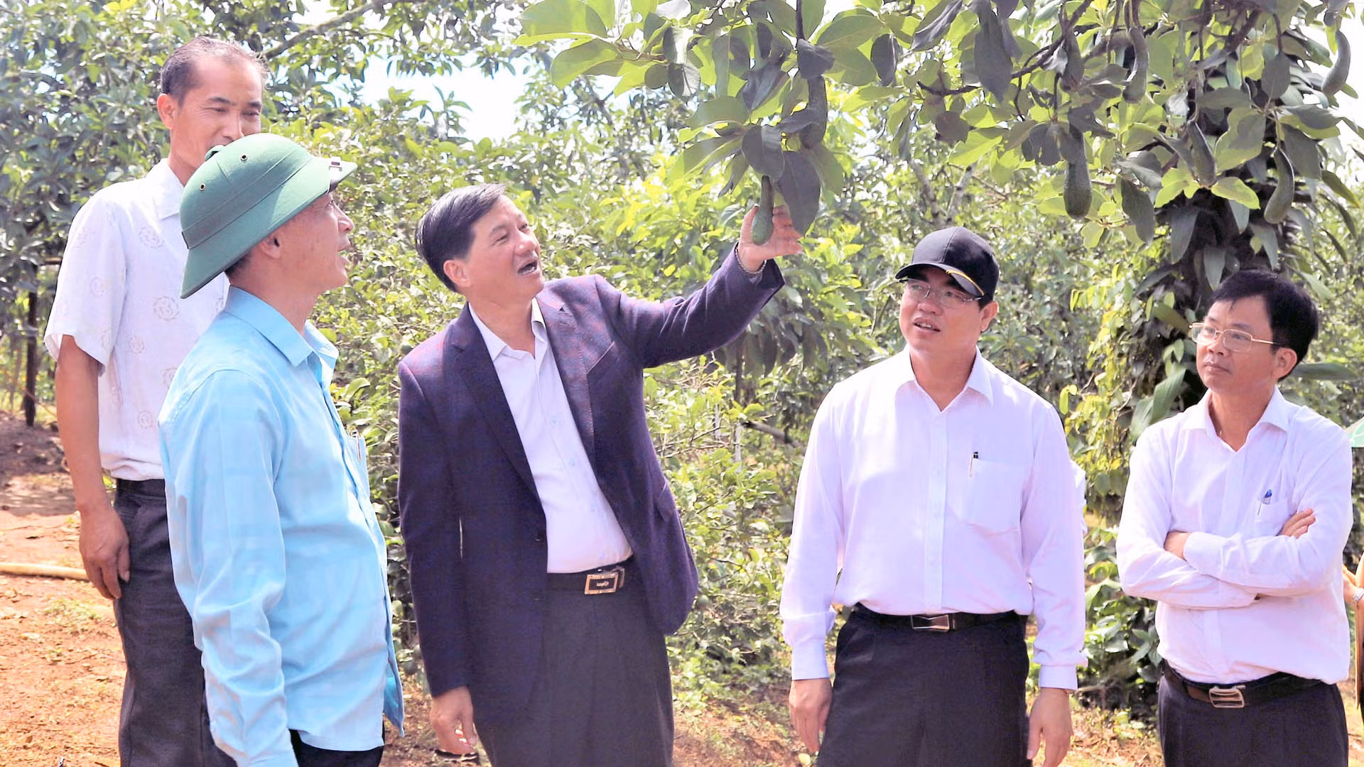 Lãnh đạo tỉnh Lâm Đồng thăm một số mô hình sản xuất tiêu biểu tại địa phương. Lãnh đạo tỉnh Lâm Đồng thăm một số mô hình sản xuất tiêu biểu tại địa phương.