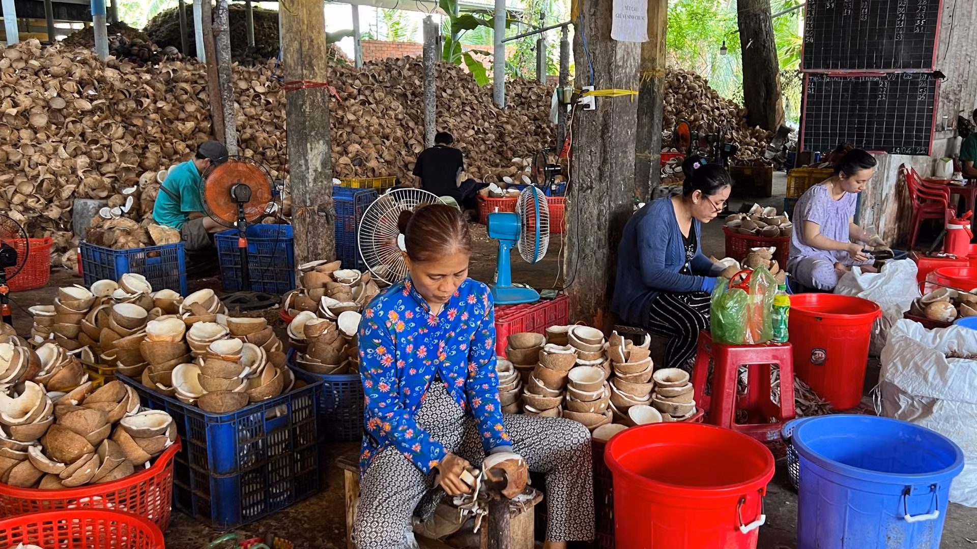 Nghề sơ chế dừa nguyên liệu tạo nhiều việc làm cho lao động nông thôn. (Ảnh: HOÀNG TRUNG)