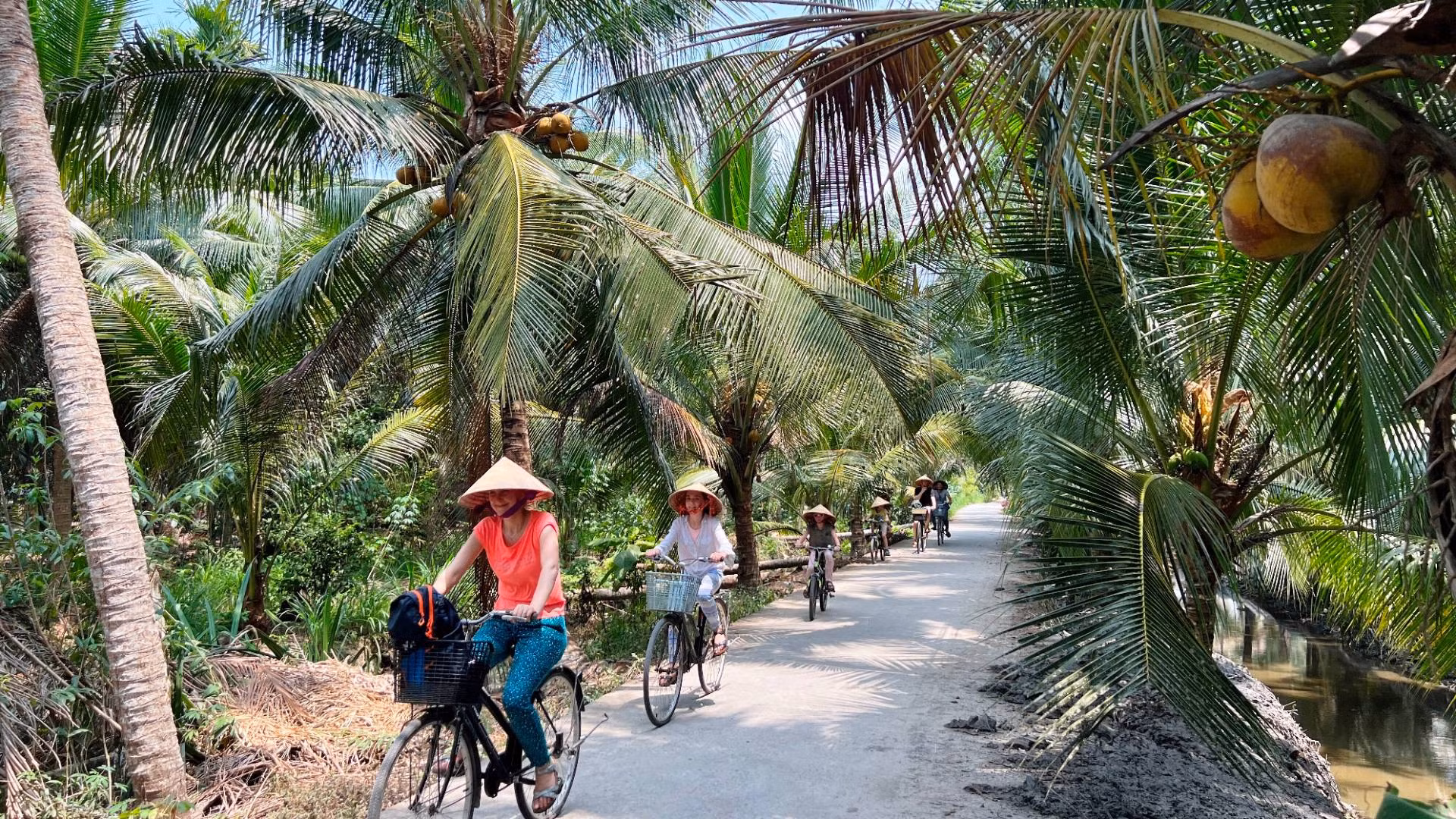 Du khách nước ngoài đạp xe dưới tán dừa ở Bến Tre.