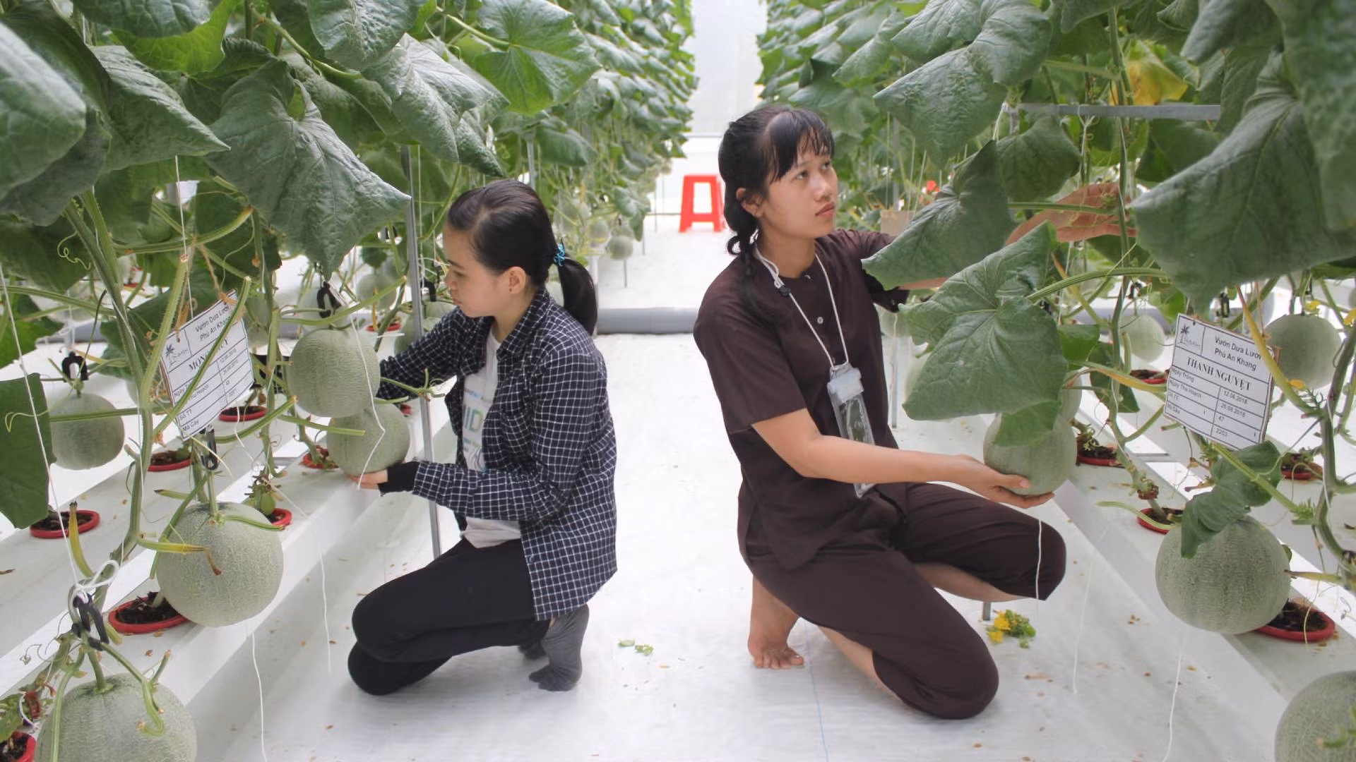 Nguồn nhân lực chất lượng cao giúp ứng dụng khoa học, công nghệ phục vụ phát triển kinh tế - xã hội. (Ảnh: HOÀNG TRUNG)