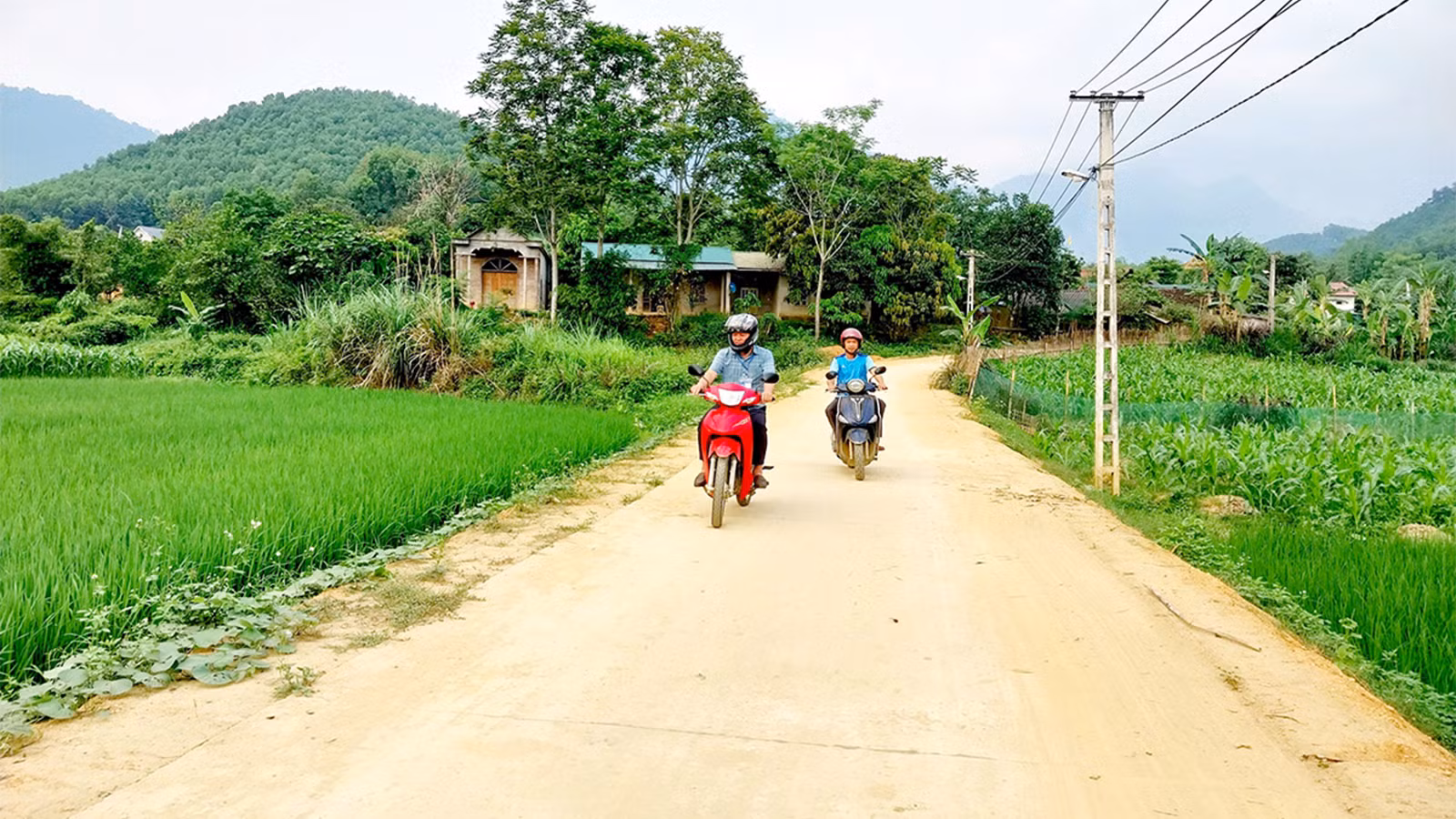 Đường giao thông nông thôn ở xã Minh Hương, huyện Hàm Yên được đầu tư giúp người dân đi lại thuận lợi.